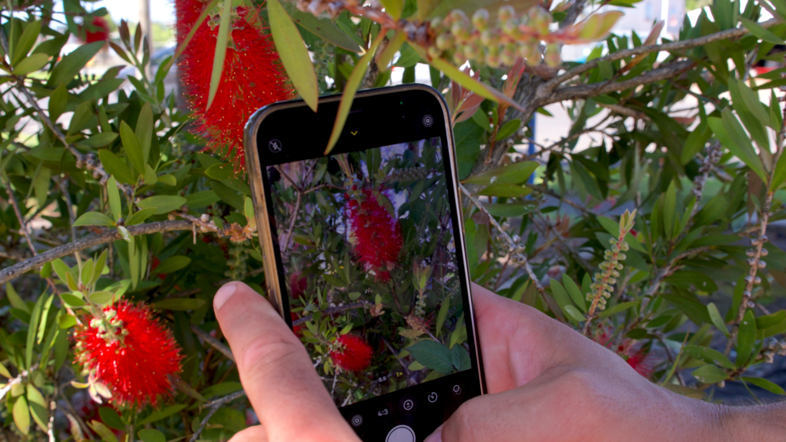 Nature Photography Workshop with Karenza Ebejer and Dr Jenny Fraser